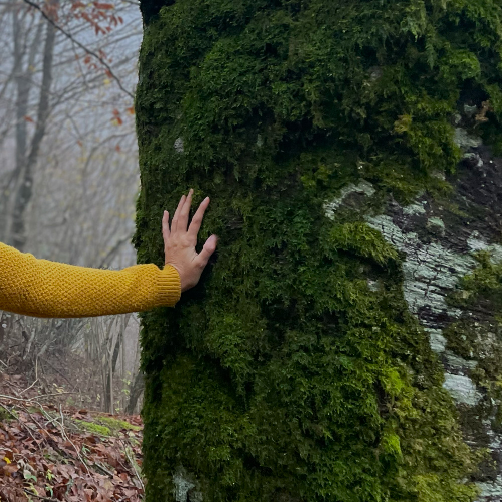 ERAGIN PNI | Lehen kontsulta