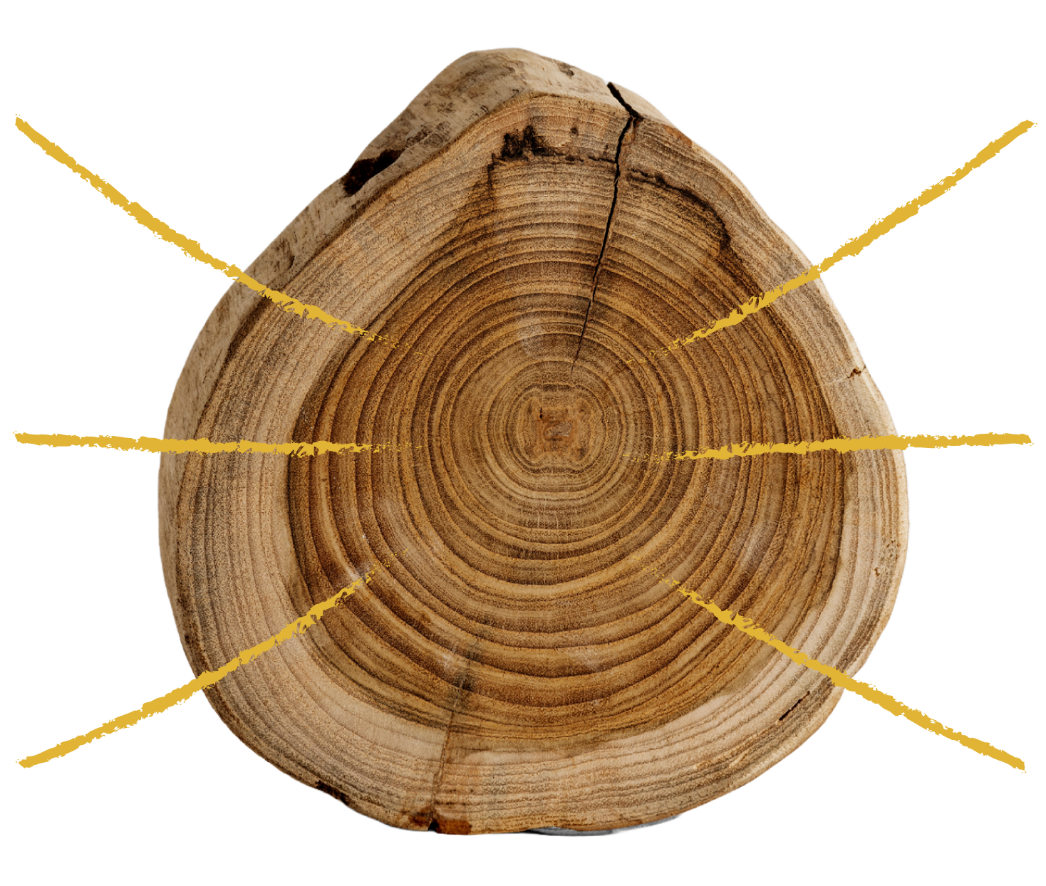 ERAGIN PNI | Osasuna