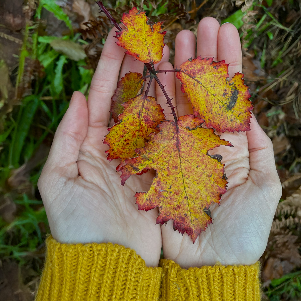 ERAGIN PNI | Jarraipen kontsulta